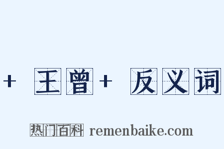 +王曾+反义词是什么意思的图片